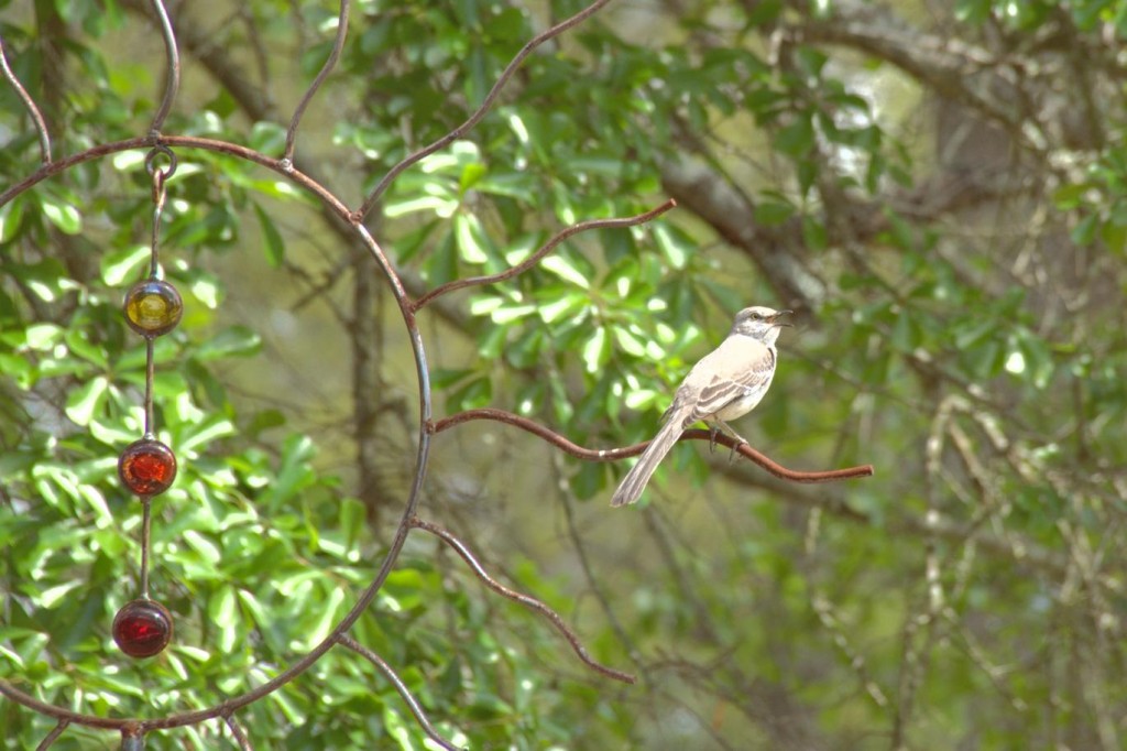 Ein kleiner Musikant