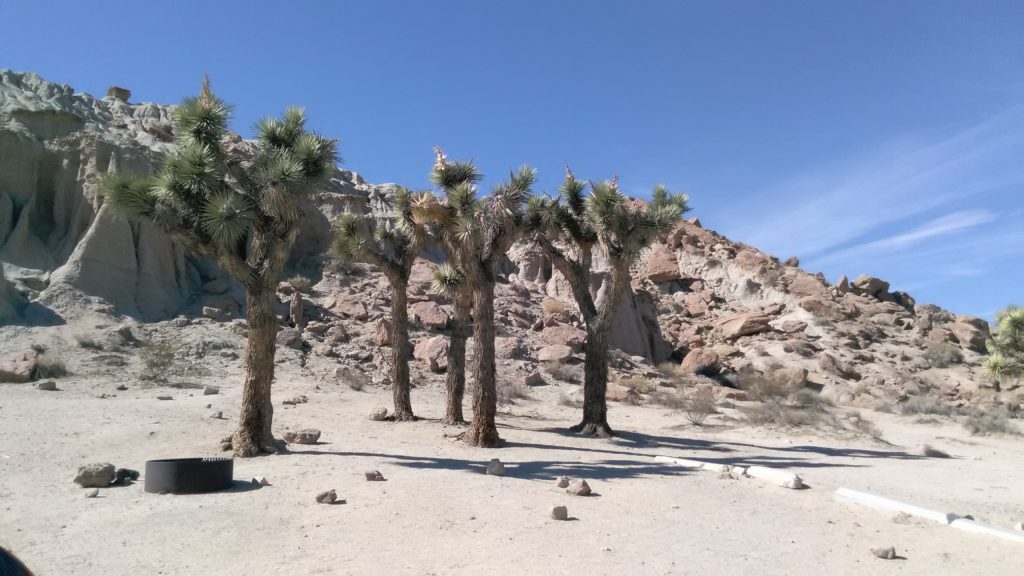 tmp_31579-img_20161009_141830235438463